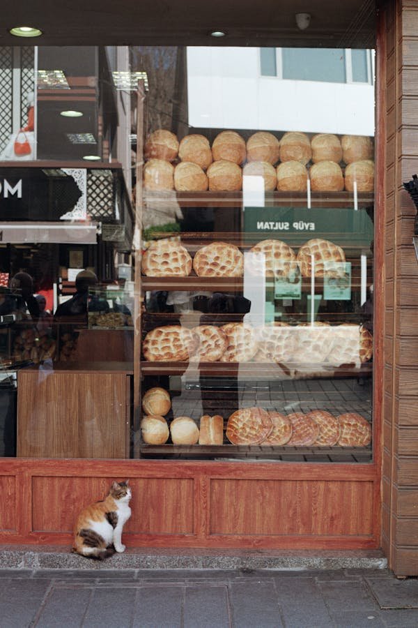 Boostez votre performance avec un logiciel de gestion boulangerie